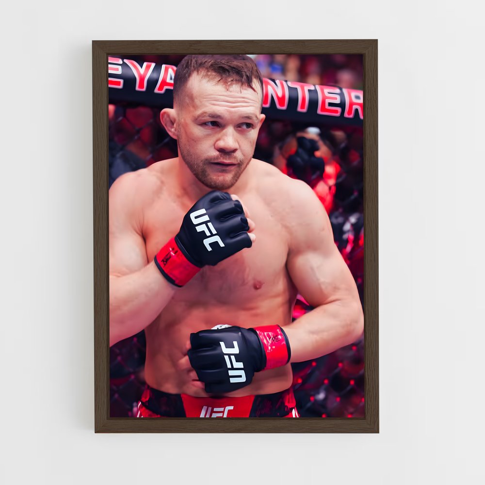 Poster Petr de yan – affiche MMA (vue 5)